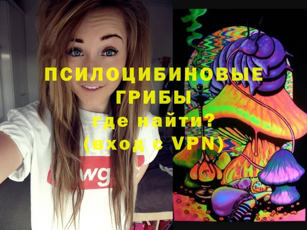 ECSTASY Абинск