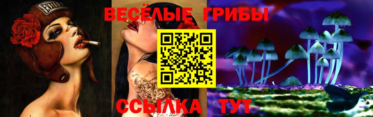 Галлюциногенные грибы Psilocybine cubensis Тында
